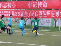 曼联VS布伦特直播_曼联VS布伦特免费在线高清直播_曼联VS布伦特视频在线观看无插件